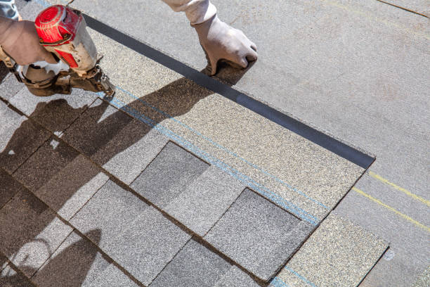 Best Shingle Roofing Installation  in Pepeekeo, HI